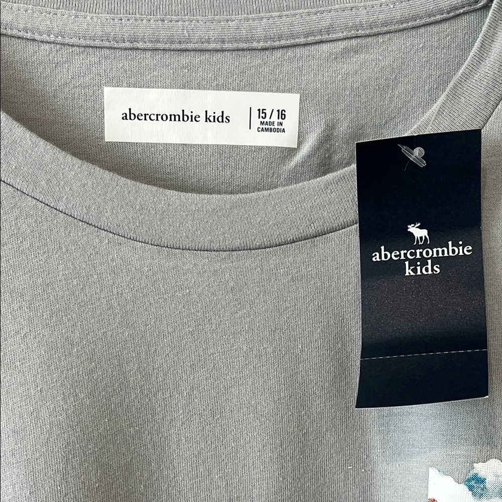 Abercrombie Kids Gray Short Sleeve Tee